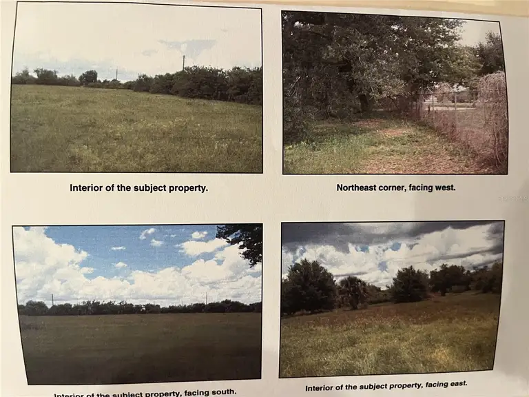 REE Lane REEL LN — photo 2