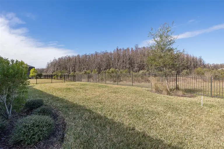 11061 EGERIA DR — photo 4