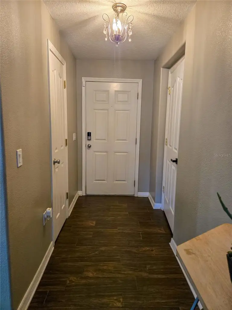 11648 MANGO RIDGE BLVD — photo 3