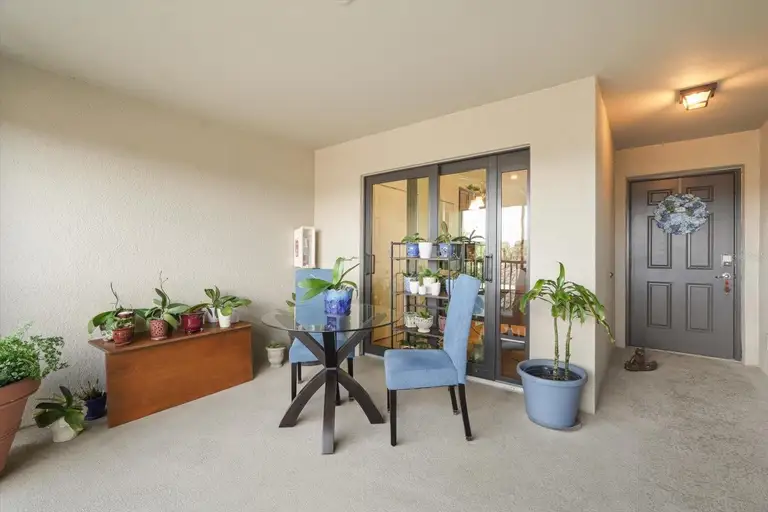5527 PALMER CIR #205 — photo 4