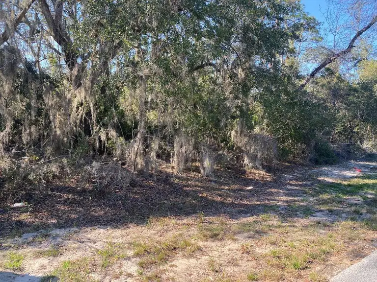 1329 ST AUGUSTINE CT — photo 2