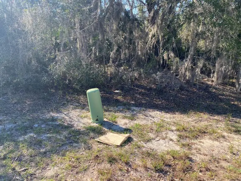 1329 ST AUGUSTINE CT — photo 3