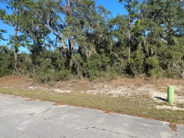 1329 ST AUGUSTINE CT — photo 5