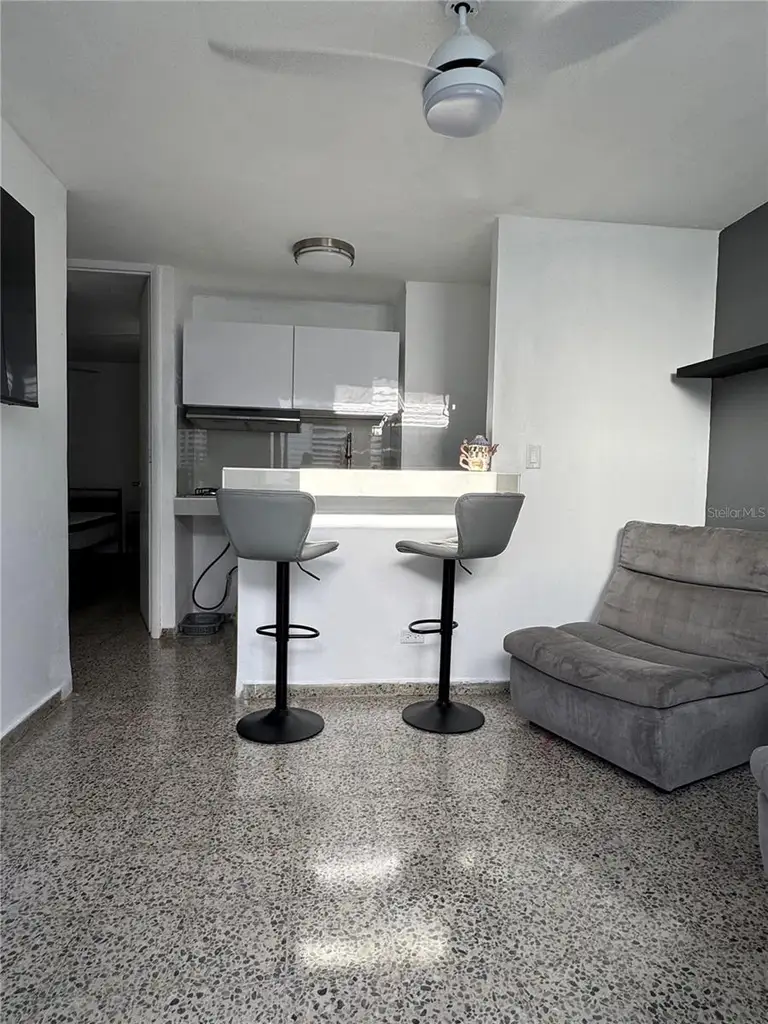 530 B/Q 196 -22 Apt 3 VILLA CAROLINA — photo 4