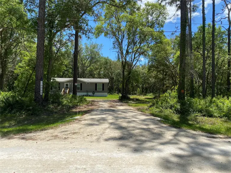 36064 BUTTERNUT DR — photo 2