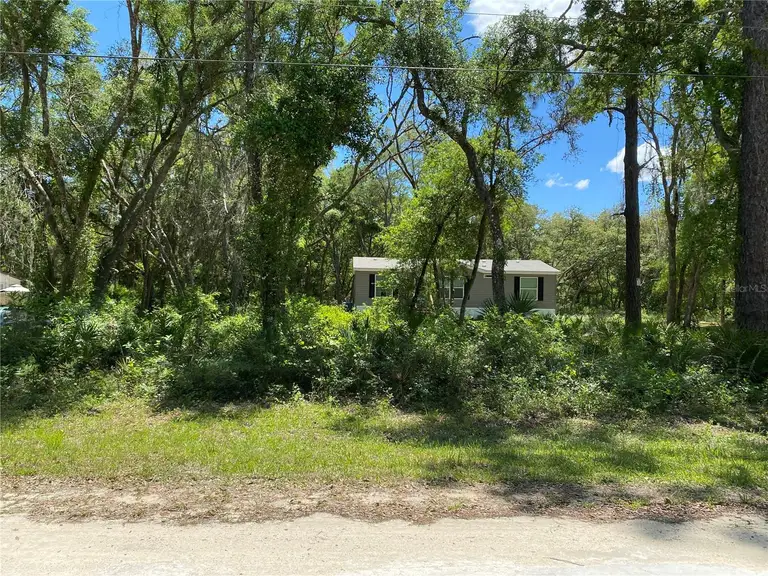 36064 BUTTERNUT DR — photo 4