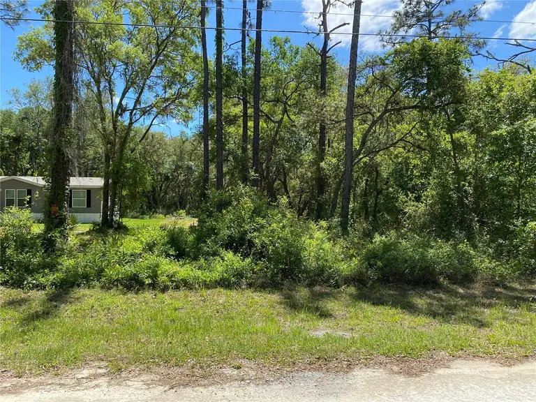 36064 BUTTERNUT DR — photo 5