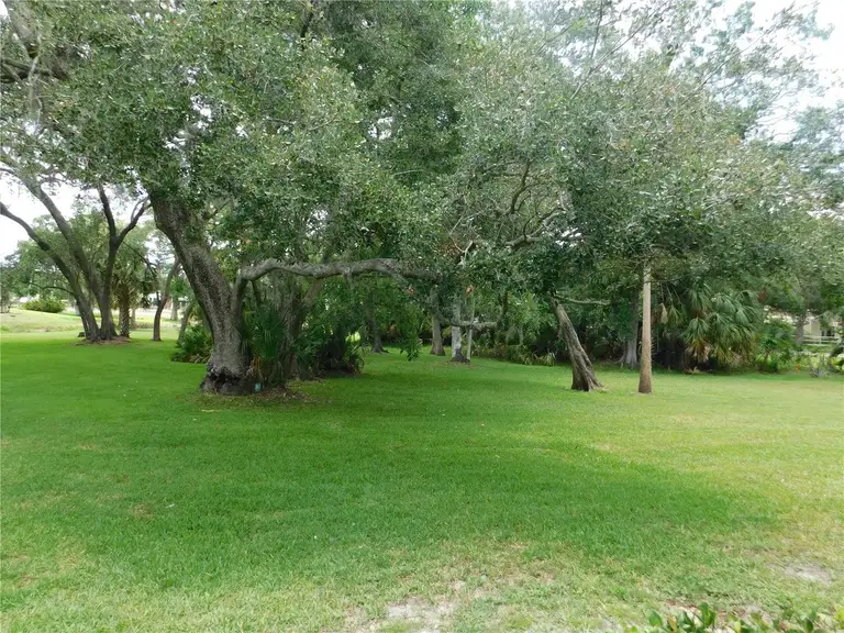 1400 TARPON WOODS BLVD #1-4 — photo 4