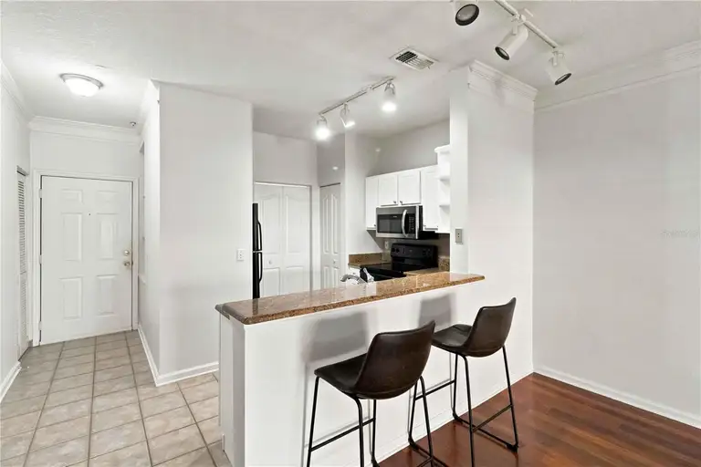 4207 S DALE MABRY HWY #1104 — photo 5